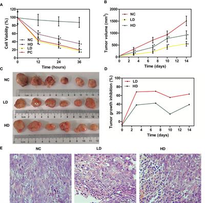 Integrated gut microbiota and metabolome analysis reveals the mechanism of Xiaoai Jiedu recipe in ameliorating colorectal cancer